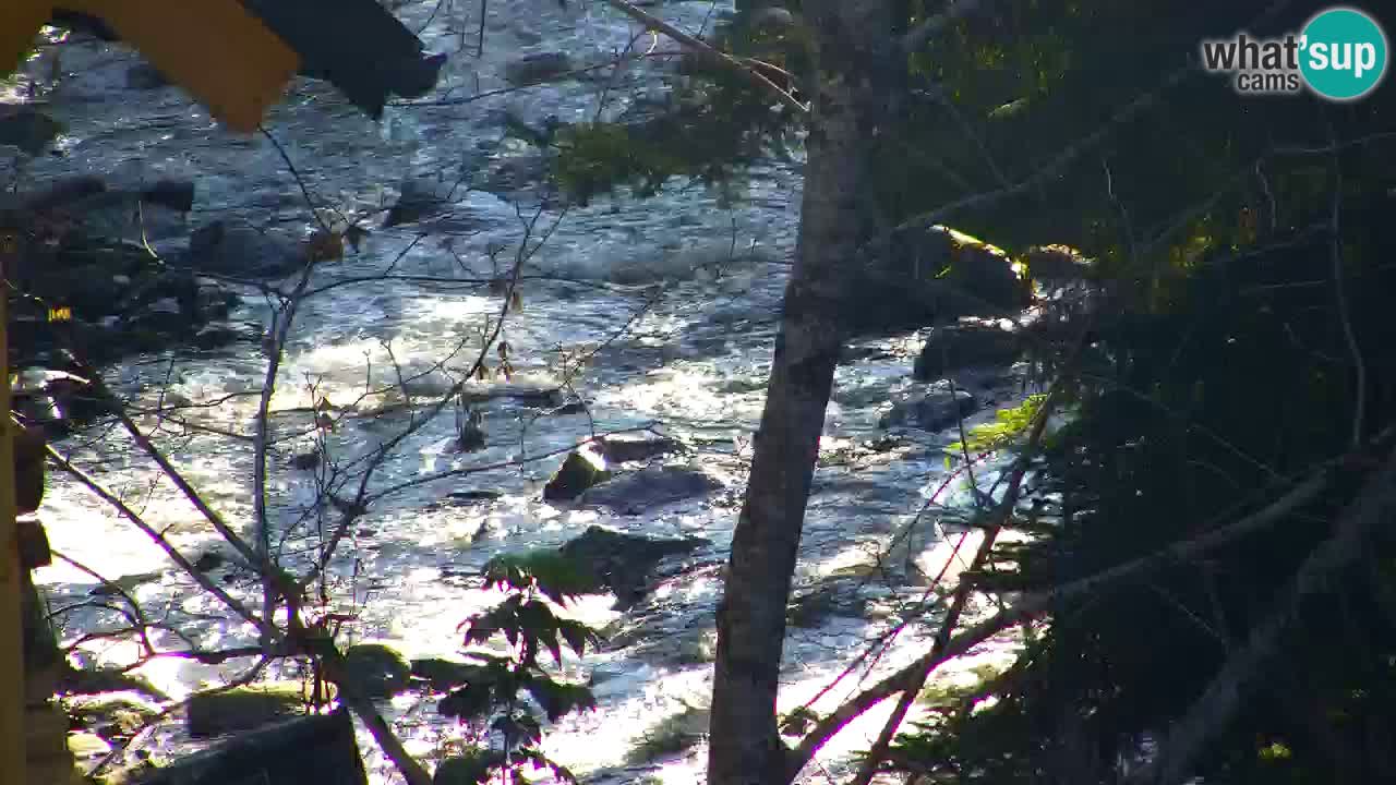 Web kamera Lukanja – Water Village | Pohorje Houses