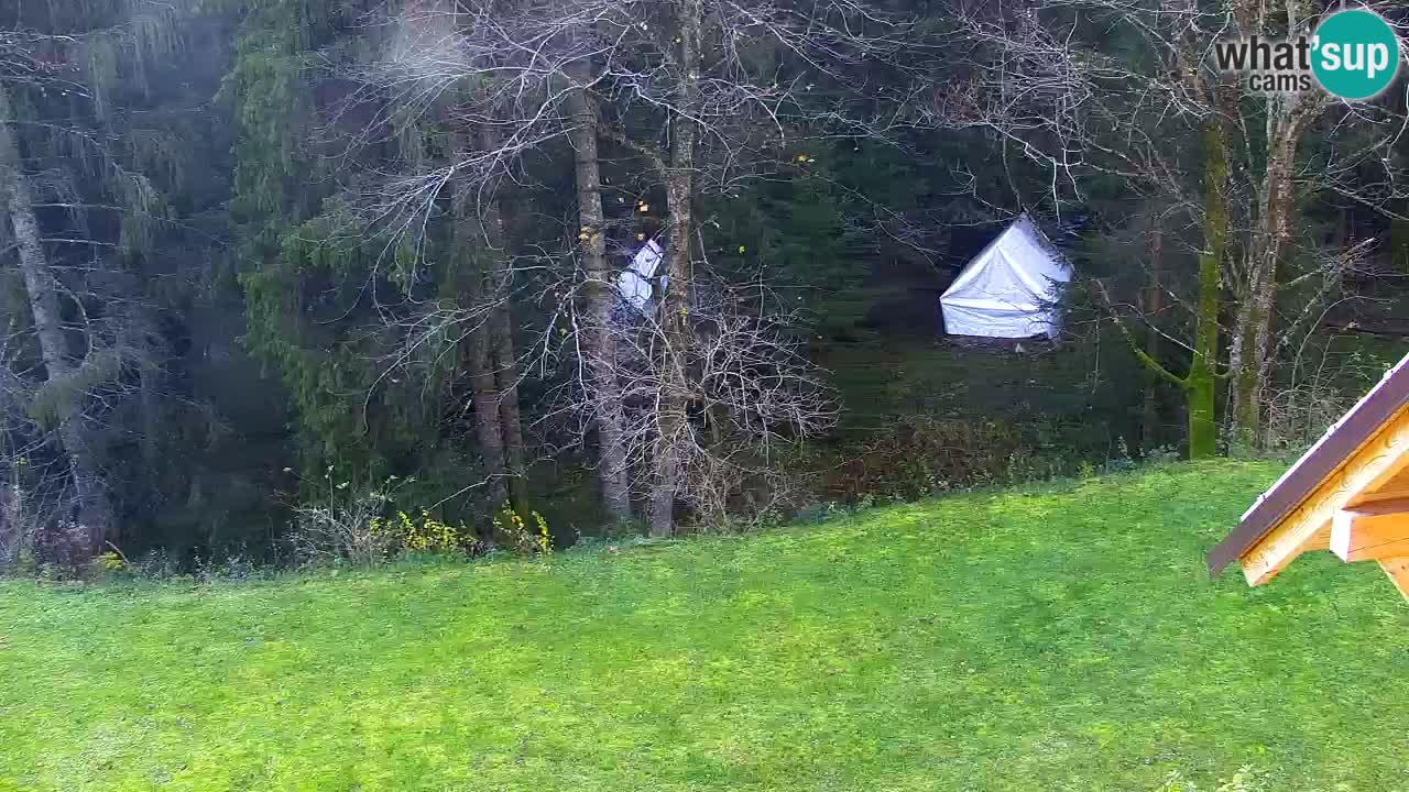 Web kamera Lukanja – Water Village | Pohorje Houses