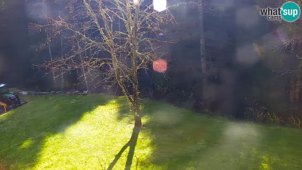 Webcam Lukanja – Water Village | Pohorje Houses