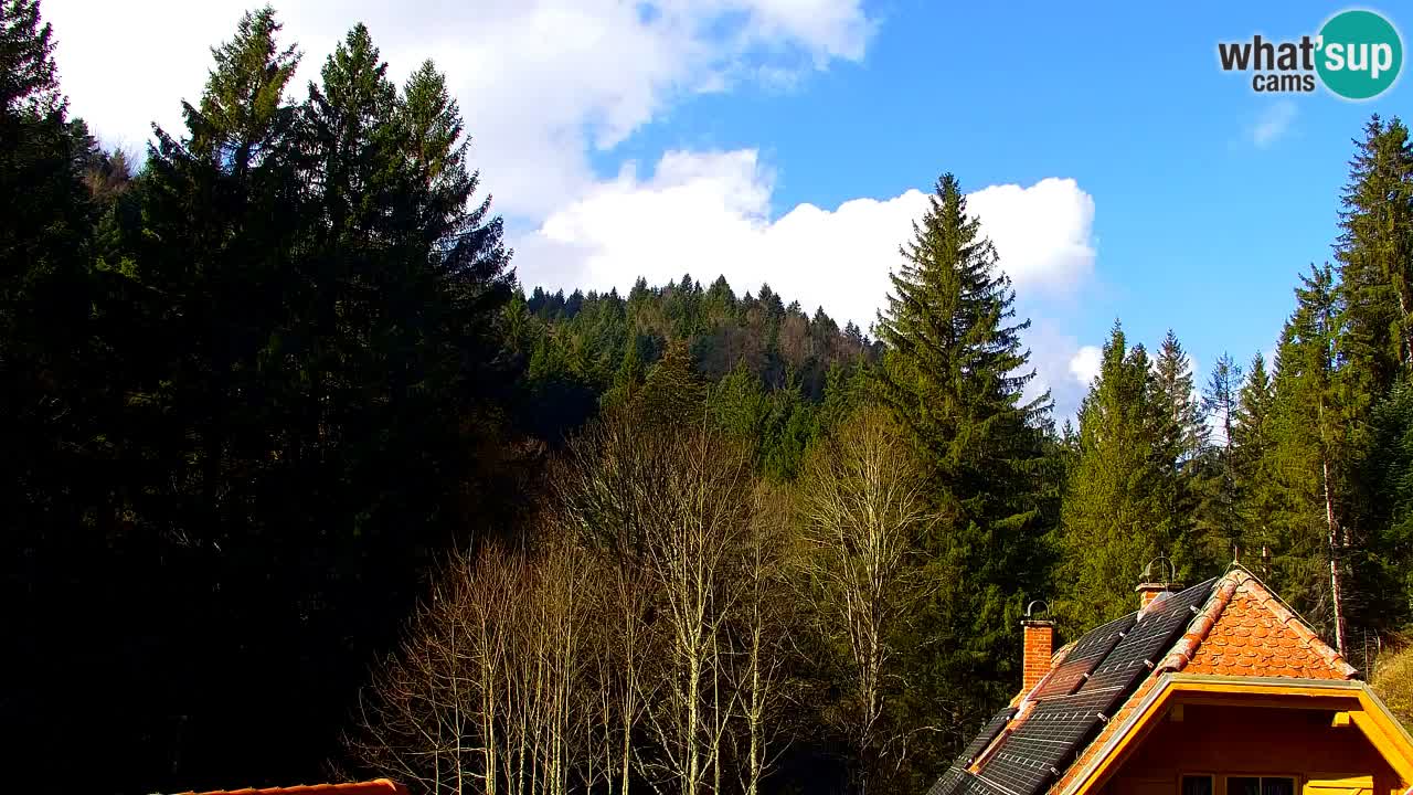 Webcam Lukanja – Water Village | Pohorje Houses