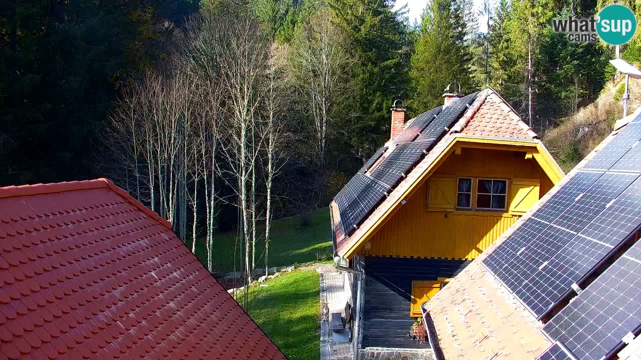 Spletna kamera Lukanja – Water Village | Pohorje Houses