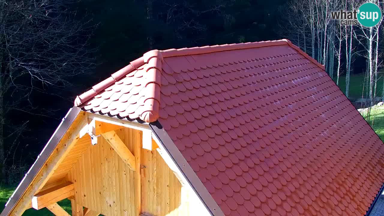 Webcam Lukanja – Water Village | Pohorje Houses