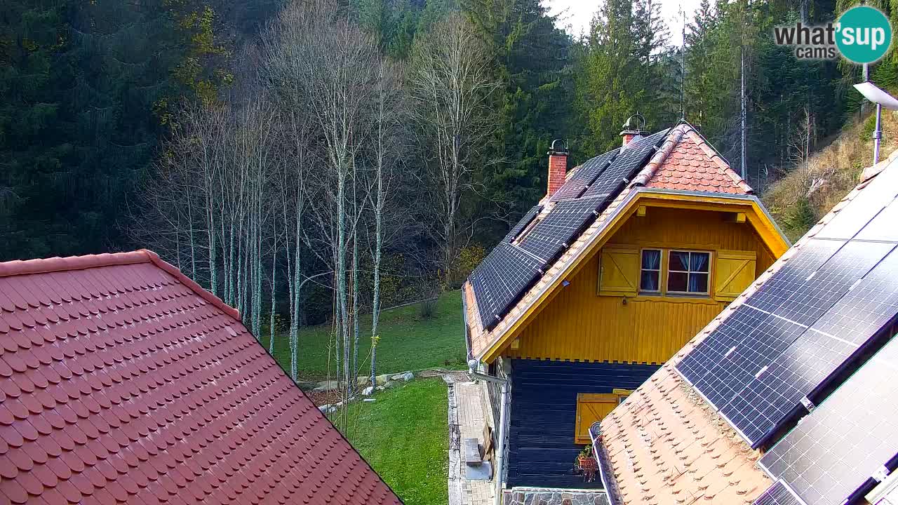 Spletna kamera Lukanja – Water Village | Pohorje Houses