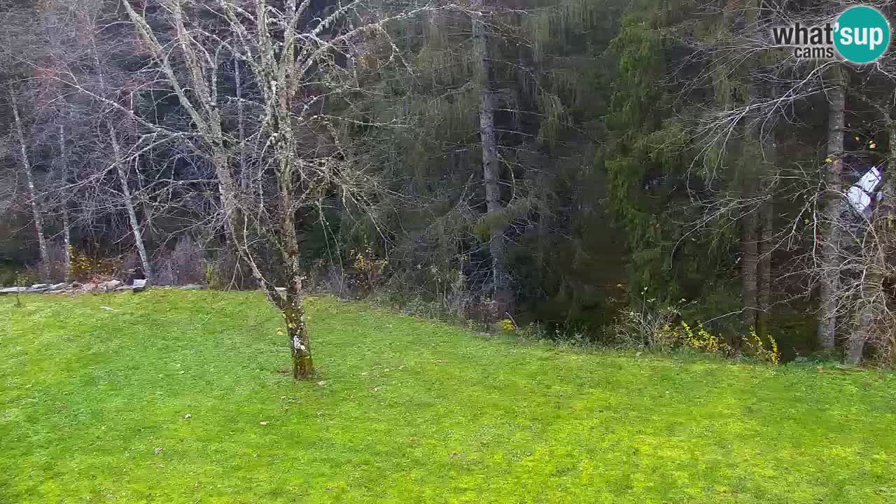 Webcam Lukanja – Pohorje houses a Water village