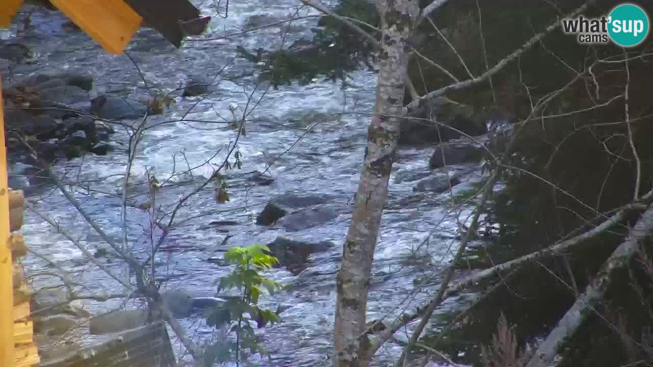 Webcam Lukanja – Pohorje houses a Water village