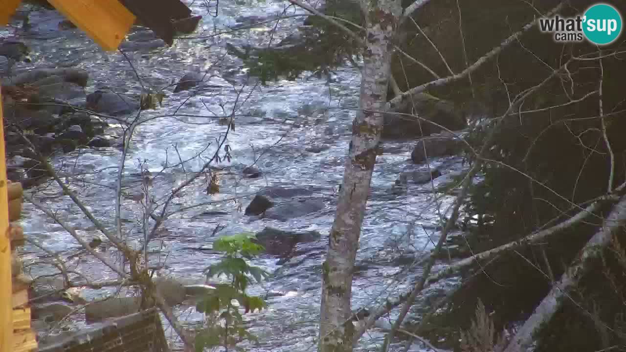 Webcam Lukanja – Water Village | Pohorje Houses