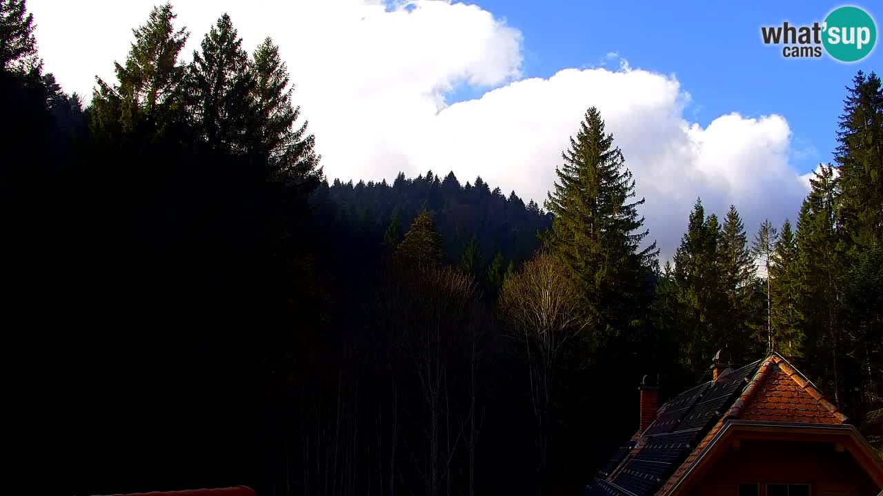 Webcam Lukanja – Water Village | Pohorje Houses