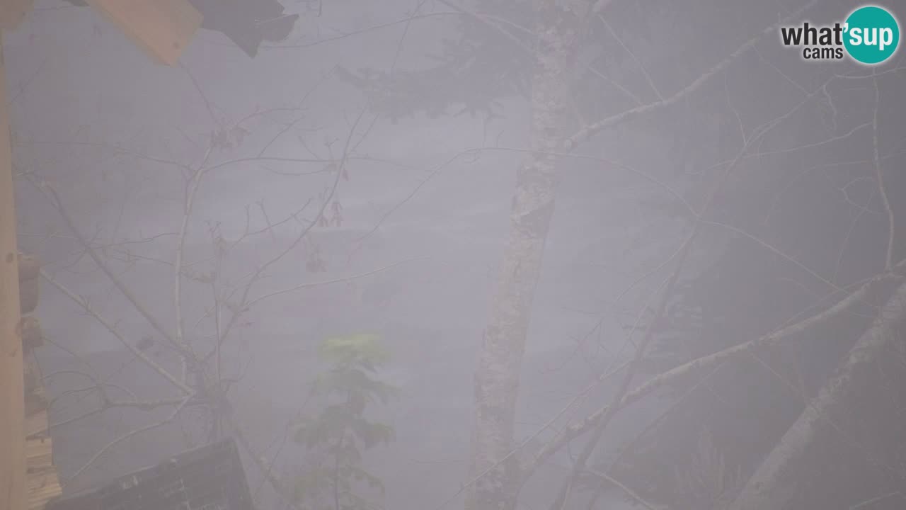 Web kamera Lukanja – Water Village | Pohorje Houses