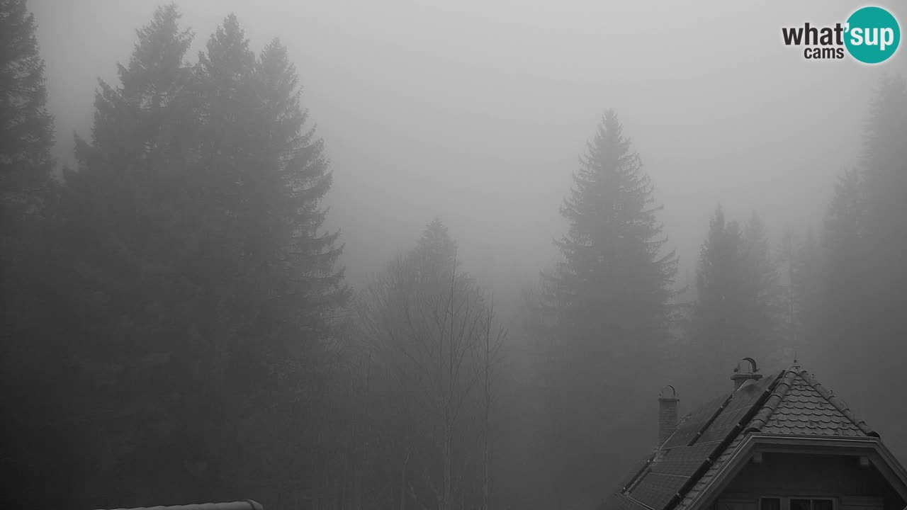 Webcam Lukanja – Pohorje houses a Water village