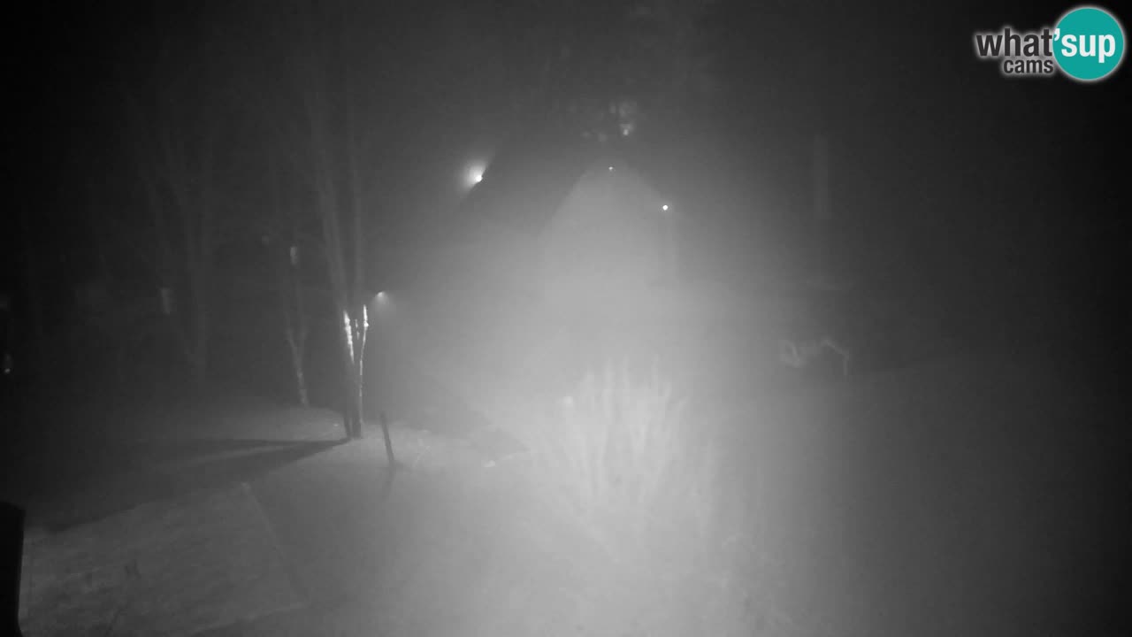 Webcam Lukanja – Water Village | Pohorje Houses