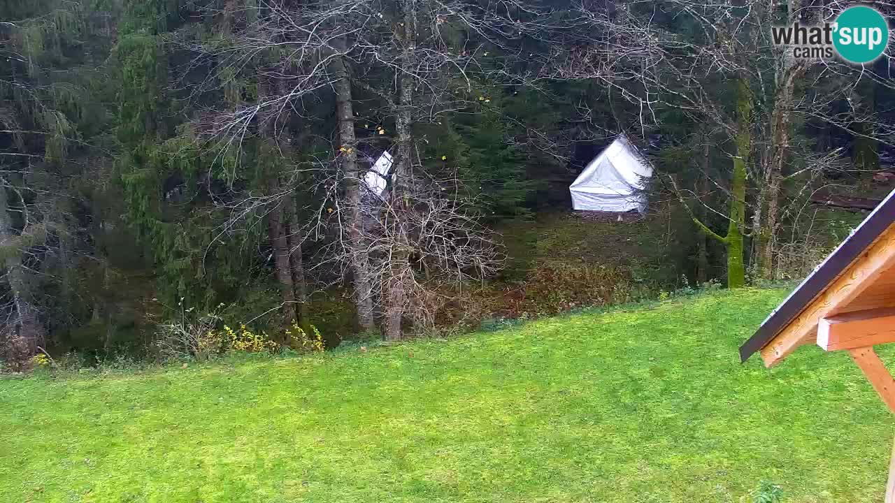 Web kamera Lukanja – Water Village | Pohorje Houses
