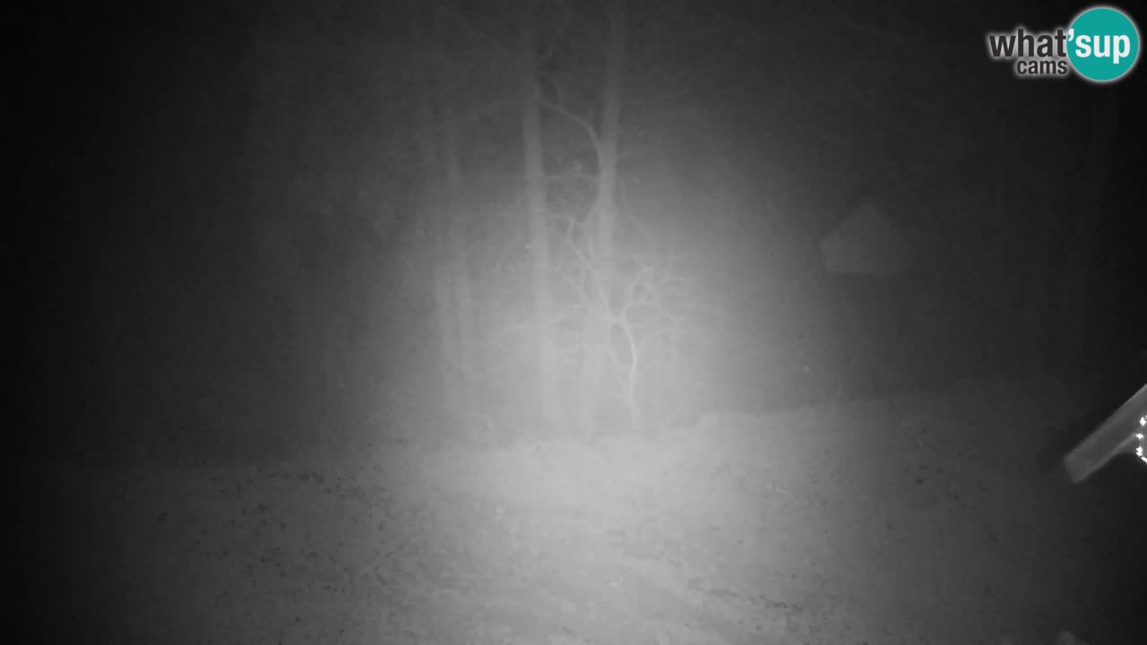 Spletna kamera Lukanja – Water Village | Pohorje Houses