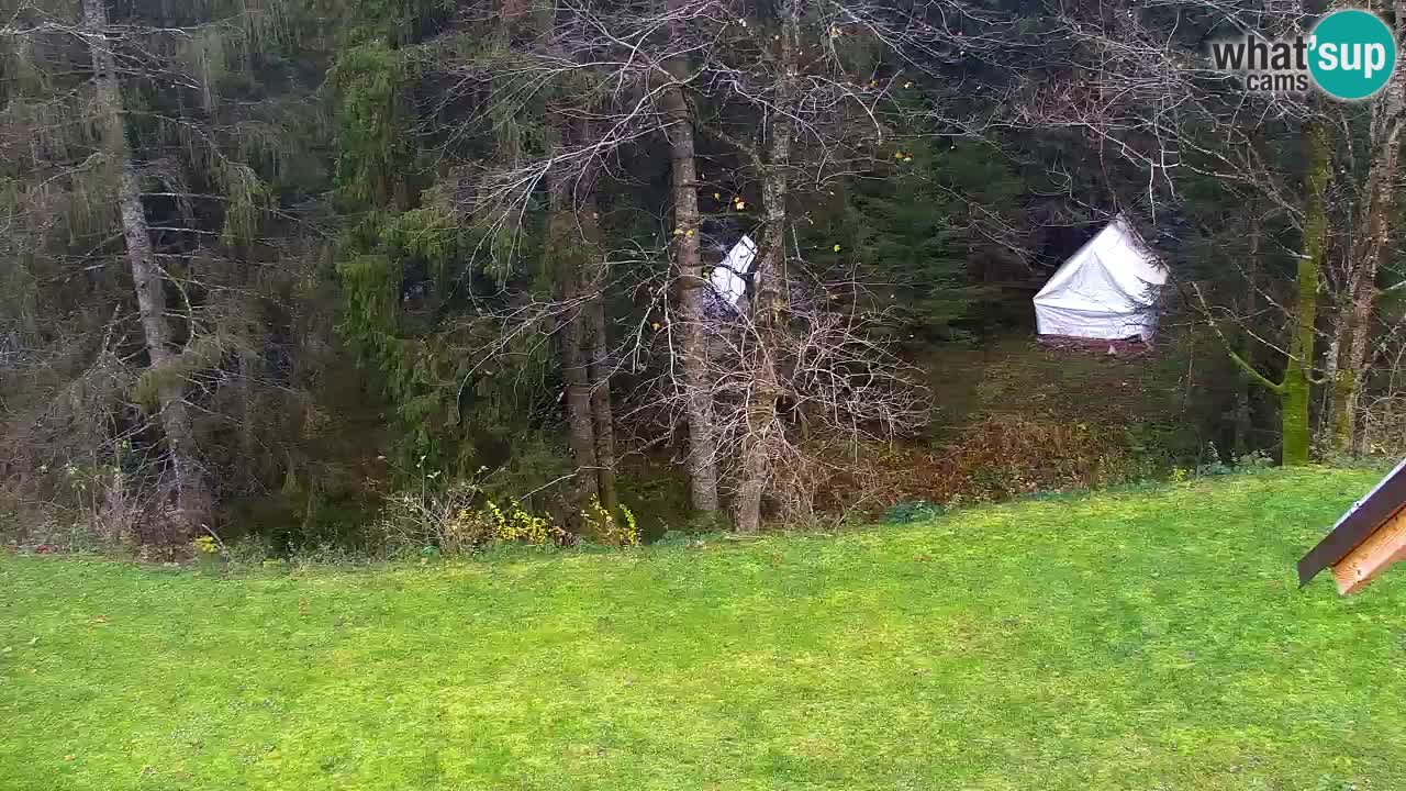 Webcam Lukanja – Water Village | Pohorje Houses