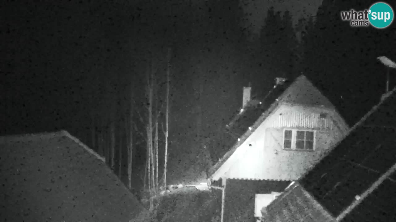 Spletna kamera Lukanja – Water Village | Pohorje Houses