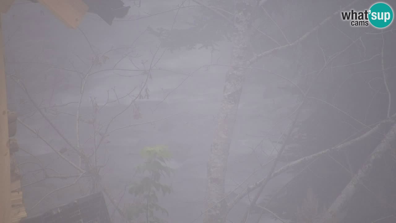 Spletna kamera Lukanja – Water Village | Pohorje Houses