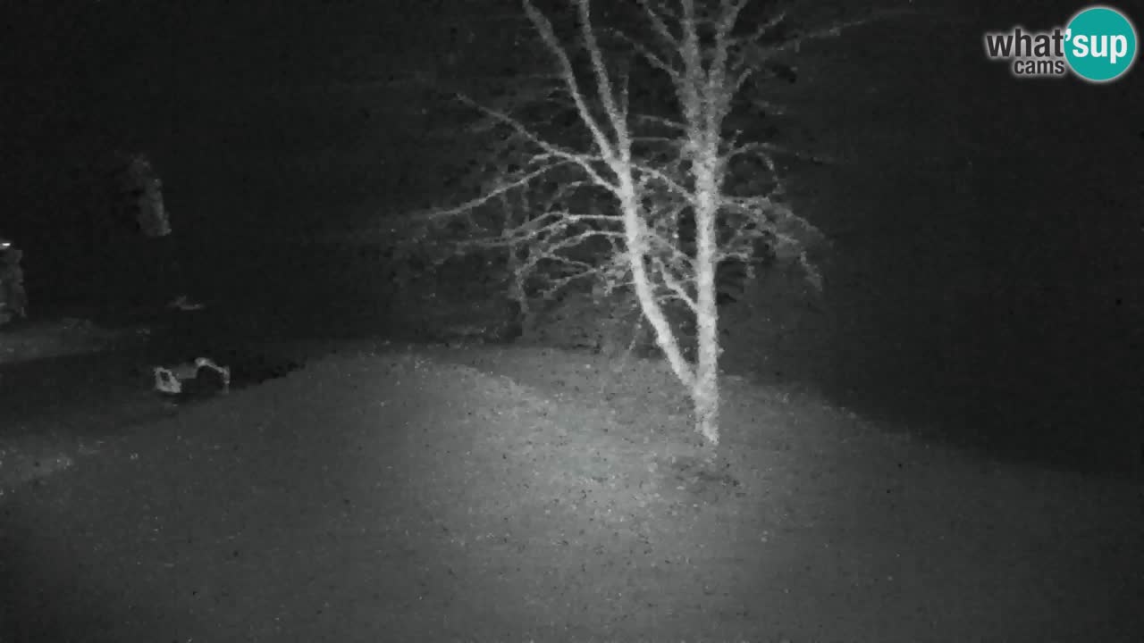 Webcam Lukanja – Water Village | Pohorje Houses