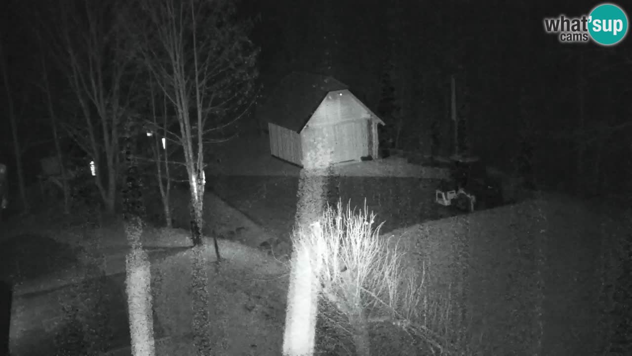 Spletna kamera Lukanja – Water Village | Pohorje Houses