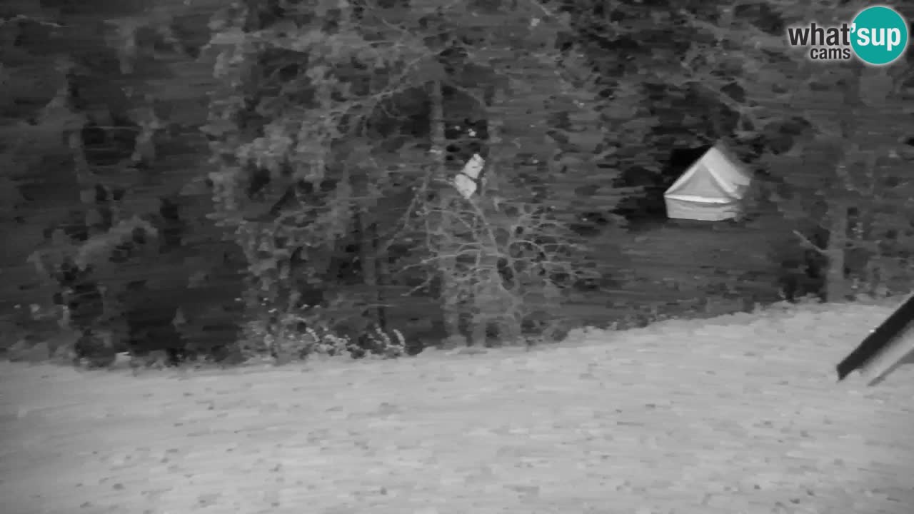 Webcam Lukanja – Pohorje houses a Water village