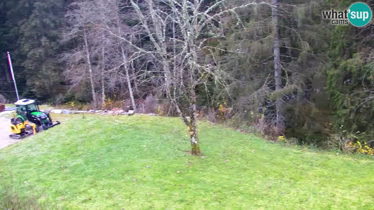 Webcam Lukanja – Water Village | Pohorje Houses