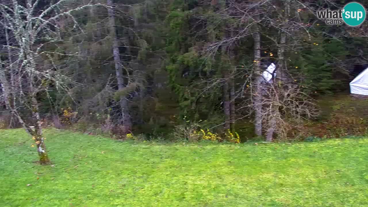 Webcam Lukanja – Water Village | Pohorje Houses