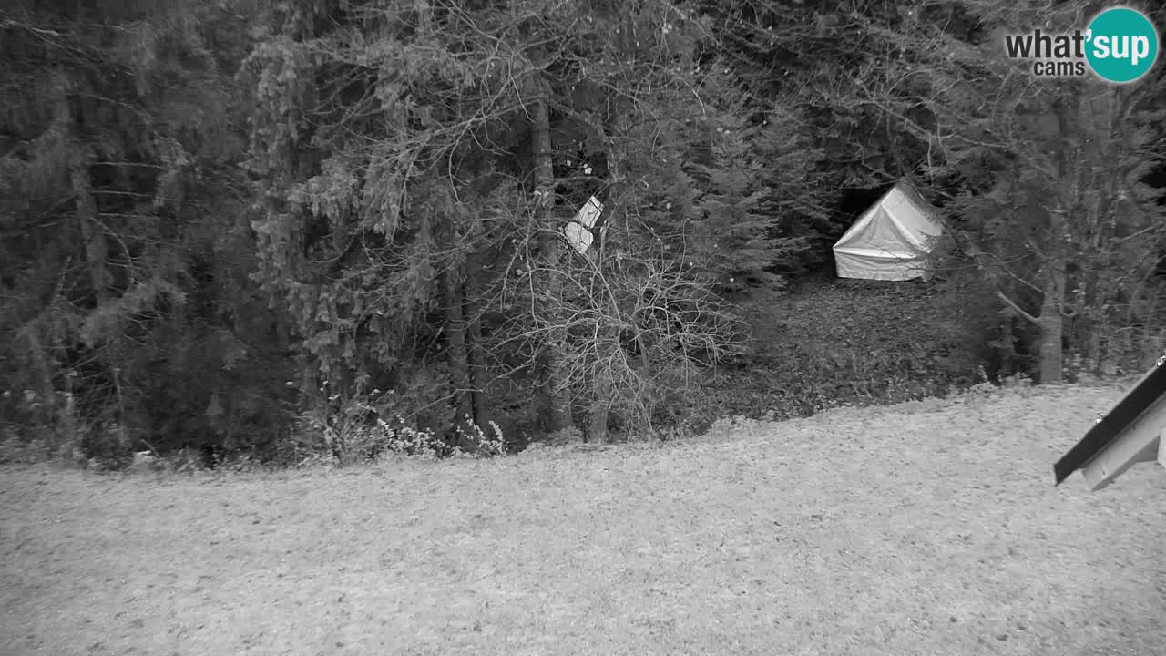 Webcam Lukanja – Water Village | Pohorje Houses