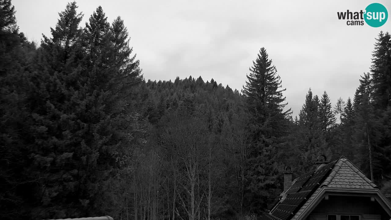 Spletna kamera Lukanja – Water Village | Pohorje Houses