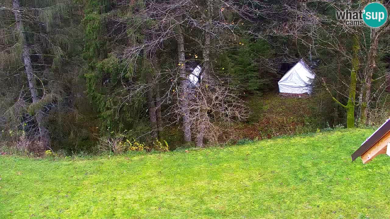 Webcam Lukanja – Pohorje houses a Water village