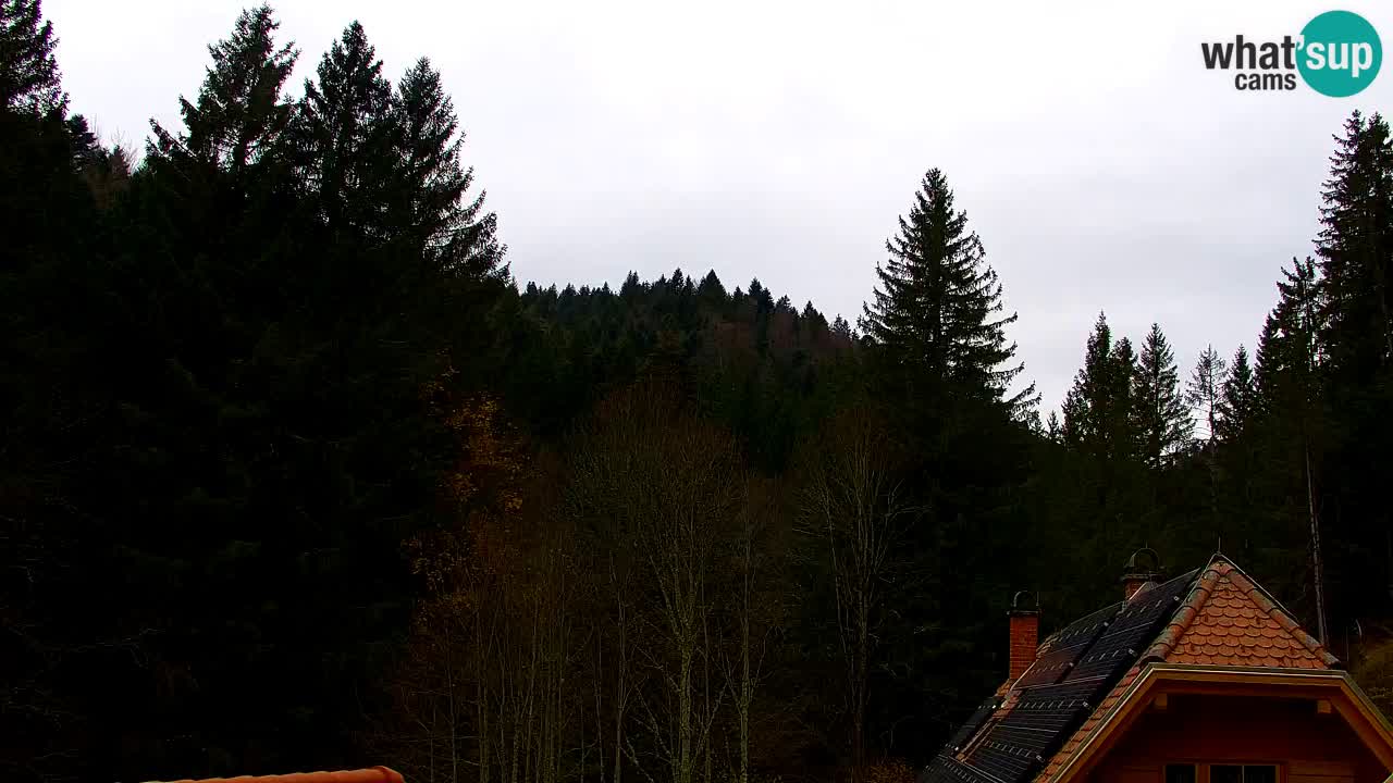 Webcam Lukanja – Water Village | Pohorje Houses