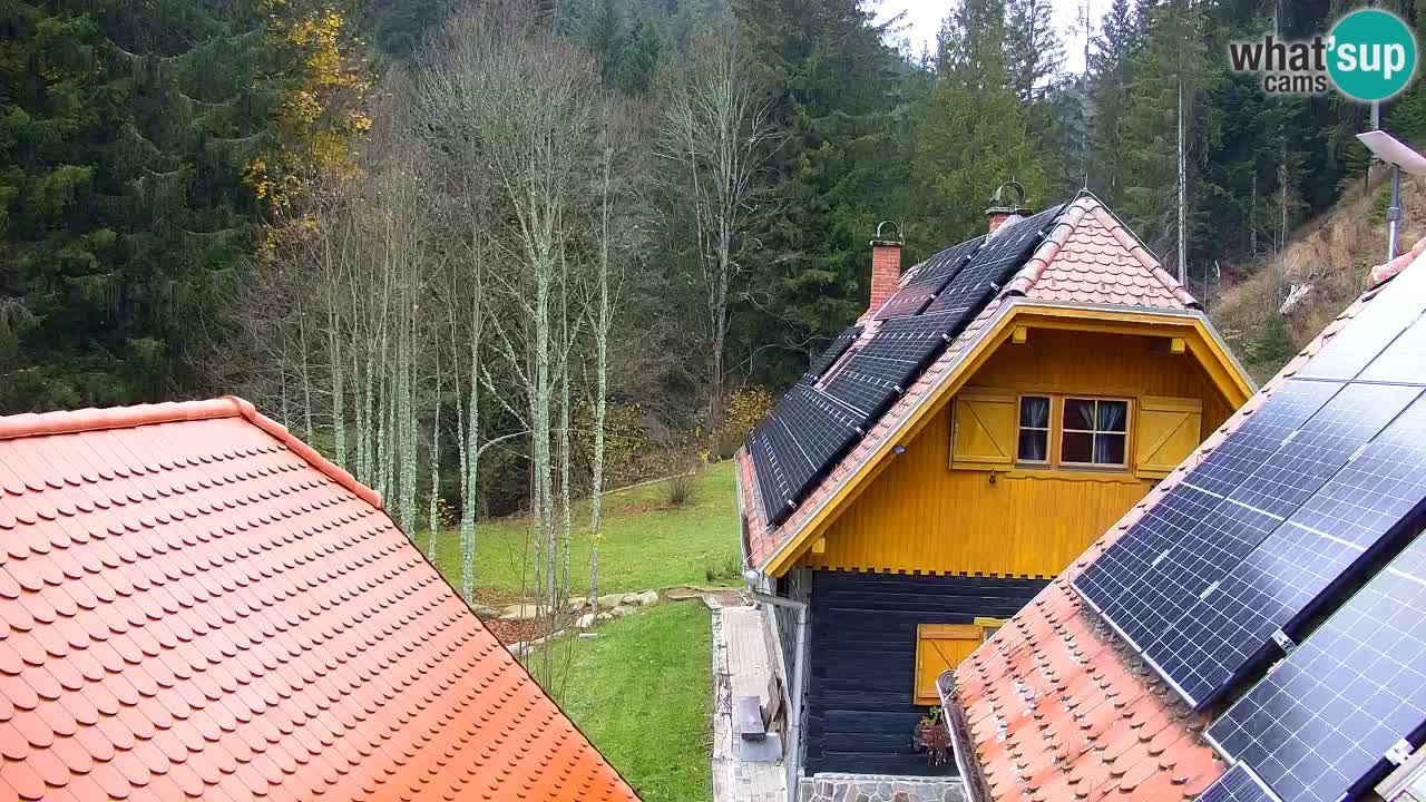 Webcam Lukanja – Pohorje houses a Water village