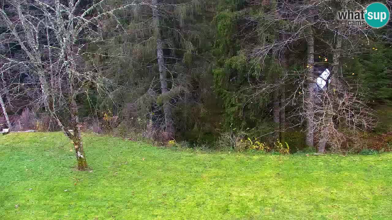 Web kamera Lukanja – Water Village | Pohorje Houses