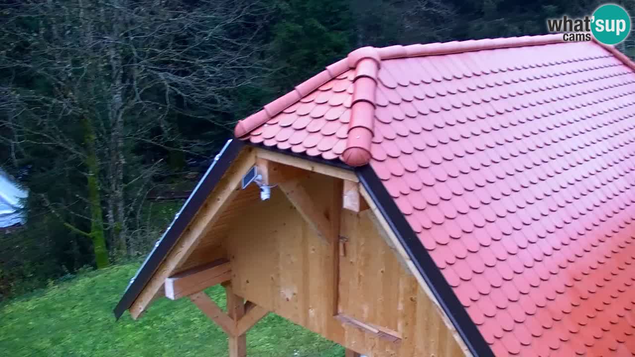 Webcam Lukanja – Water Village | Pohorje Houses