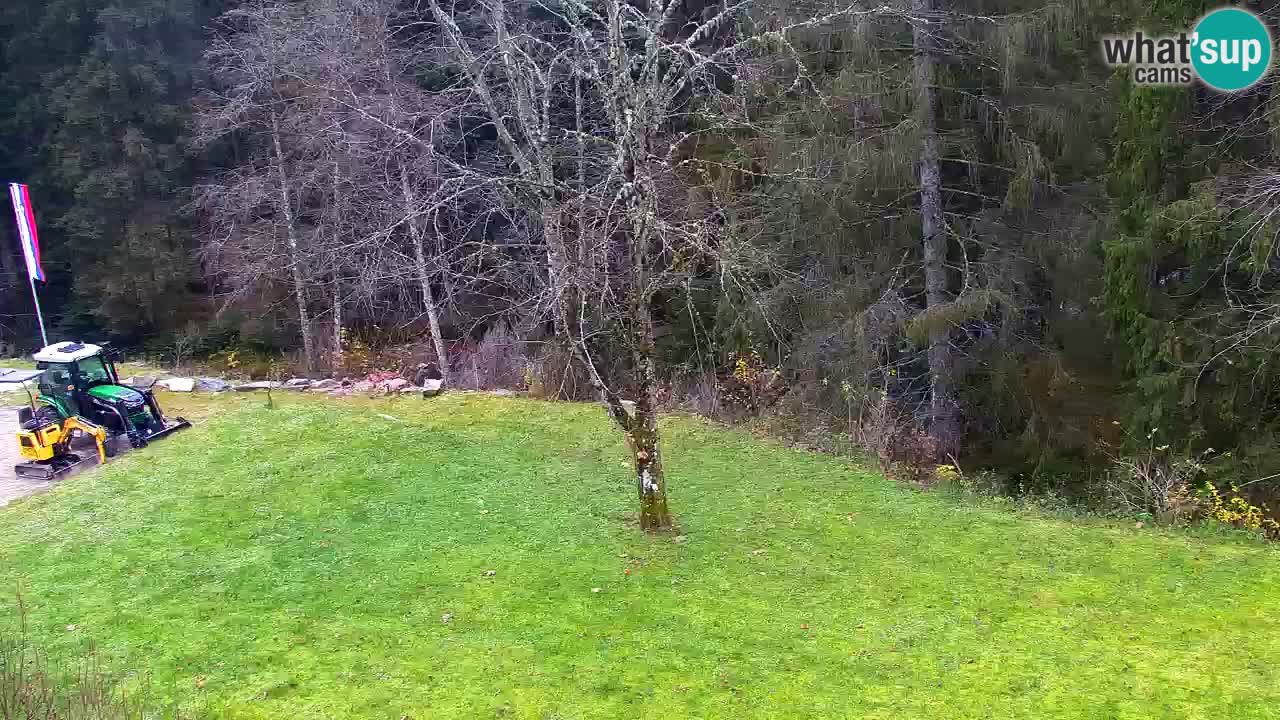 Webcam Lukanja – Water Village | Pohorje Houses