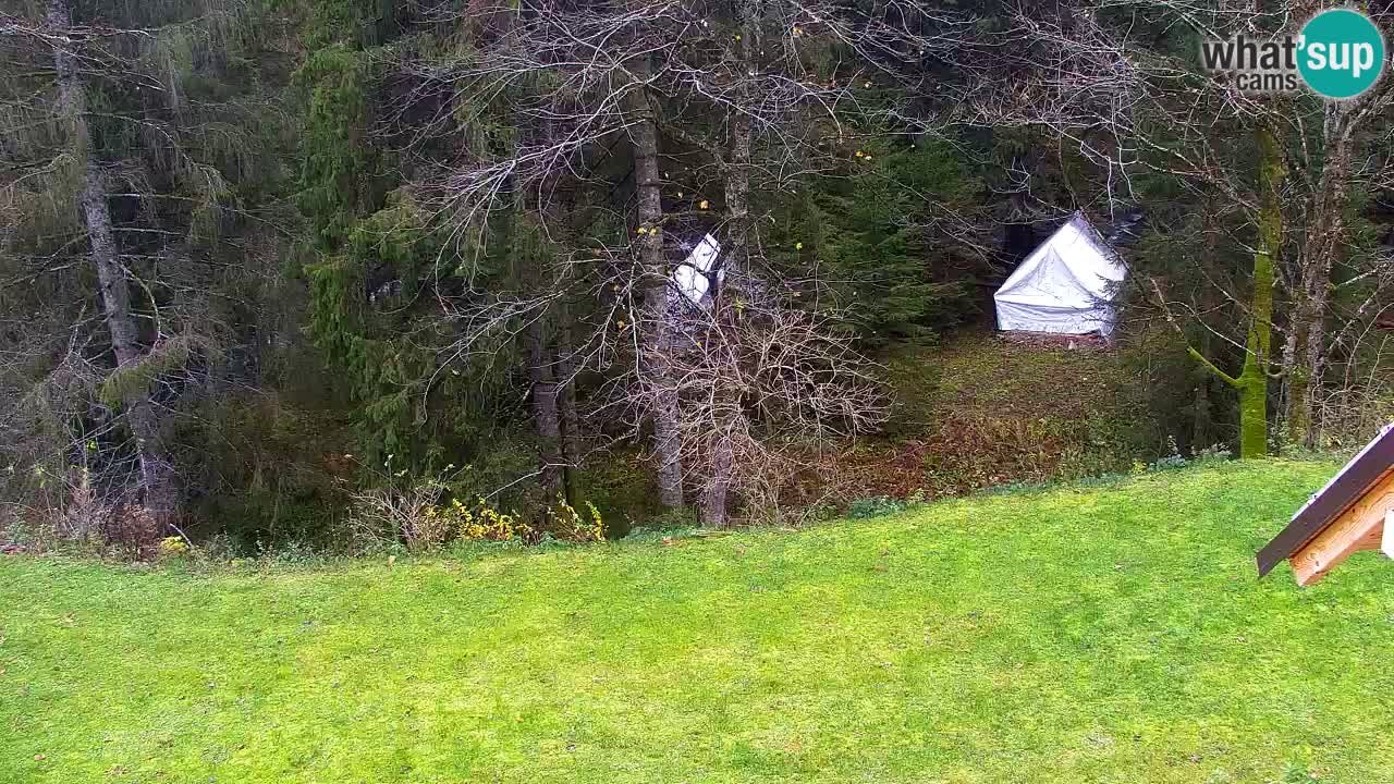 Webcam Lukanja – Water Village | Pohorje Houses