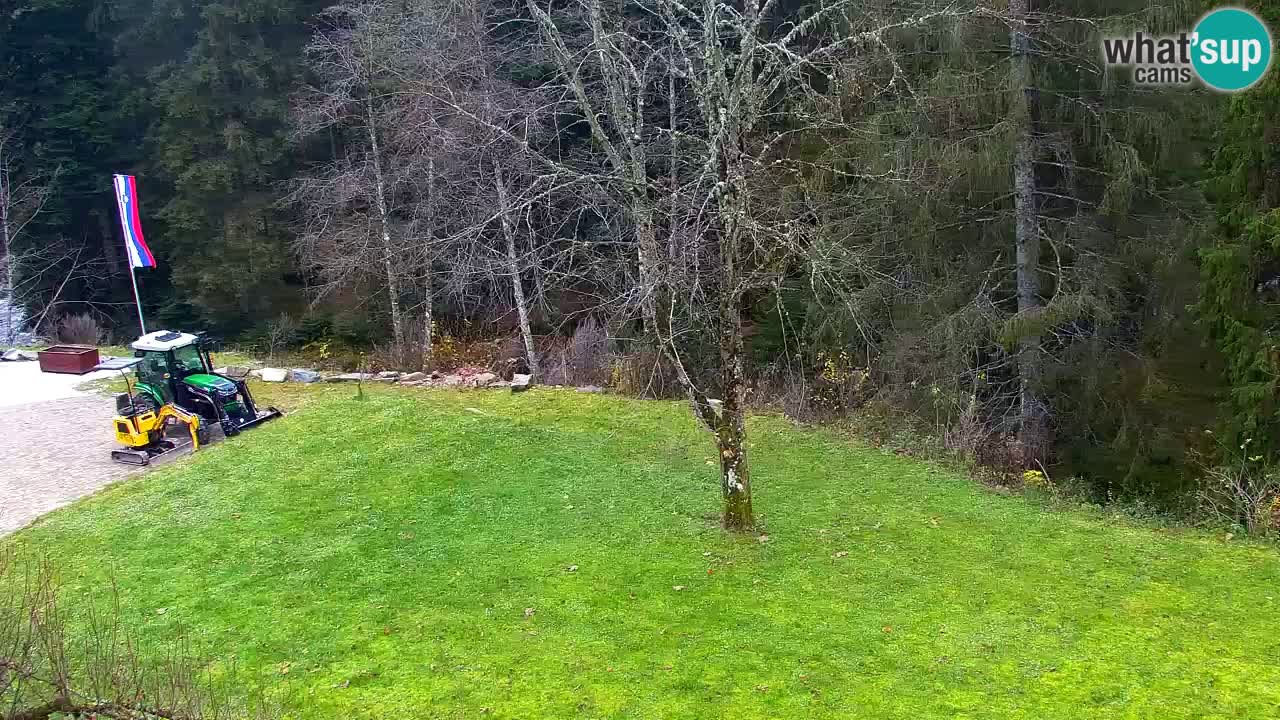 Webcam Lukanja – Water Village | Pohorje Houses