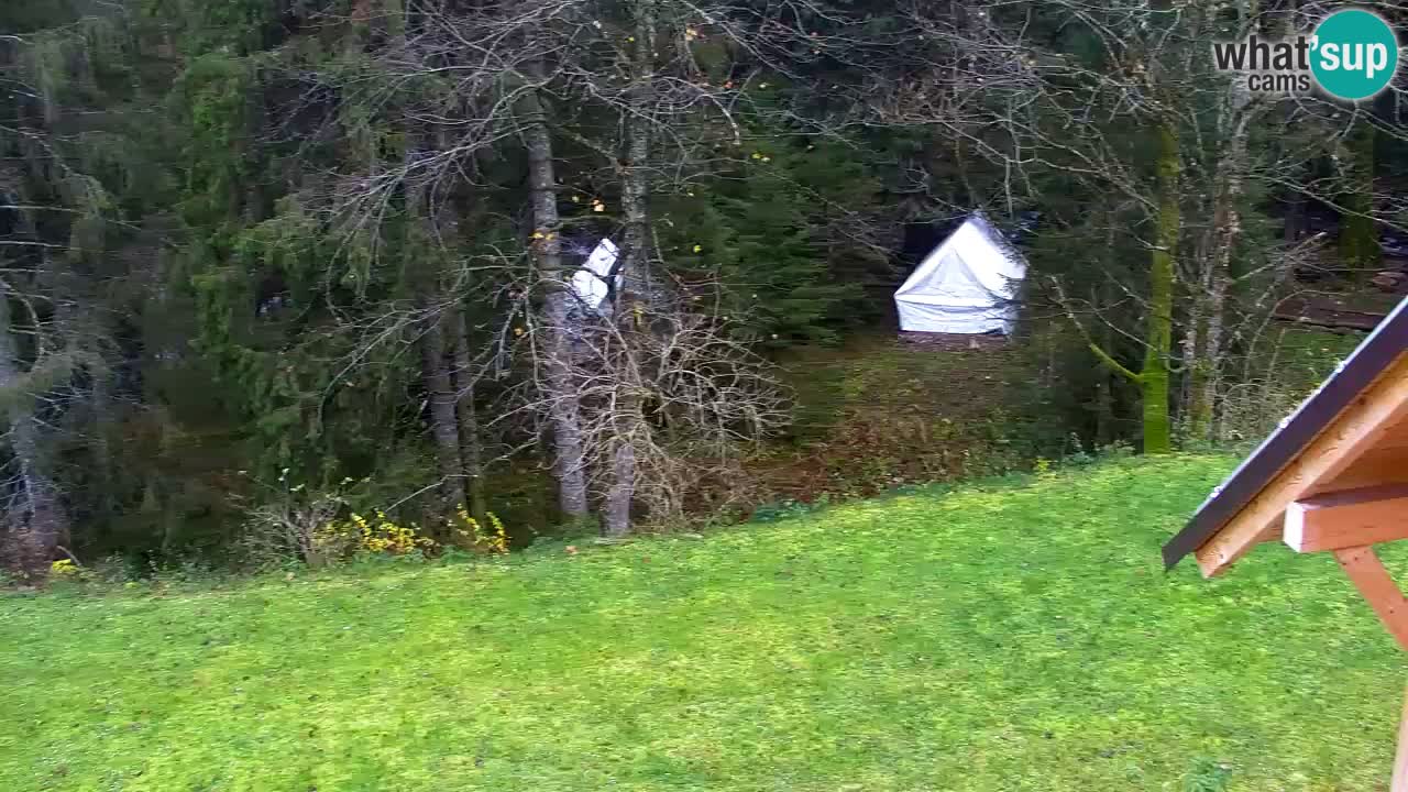 Webcam Lukanja – Pohorje houses a Water village