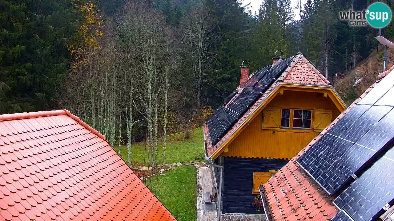 Webcam Lukanja – Pohorje houses a Water village