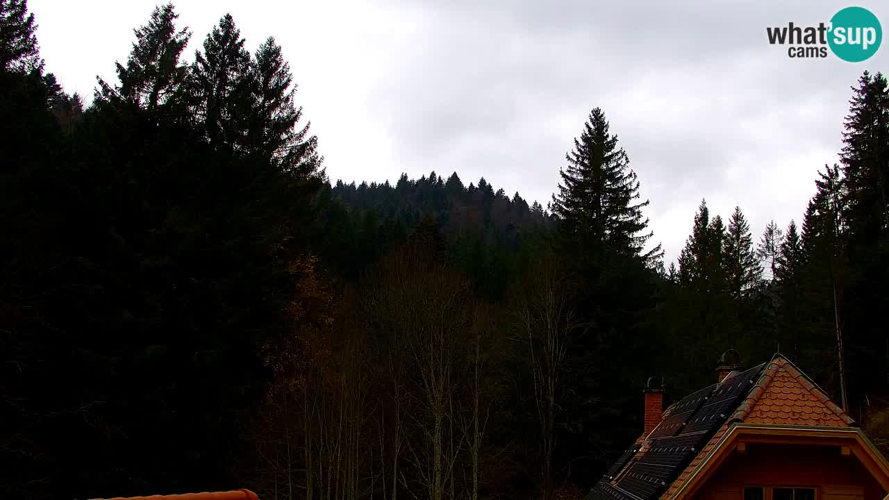 Web kamera Lukanja – Water Village | Pohorje Houses