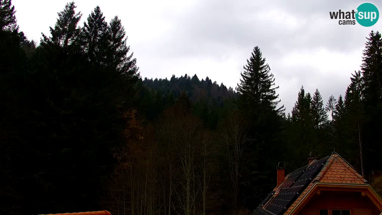 Webcam Lukanja – Pohorje houses a Water village
