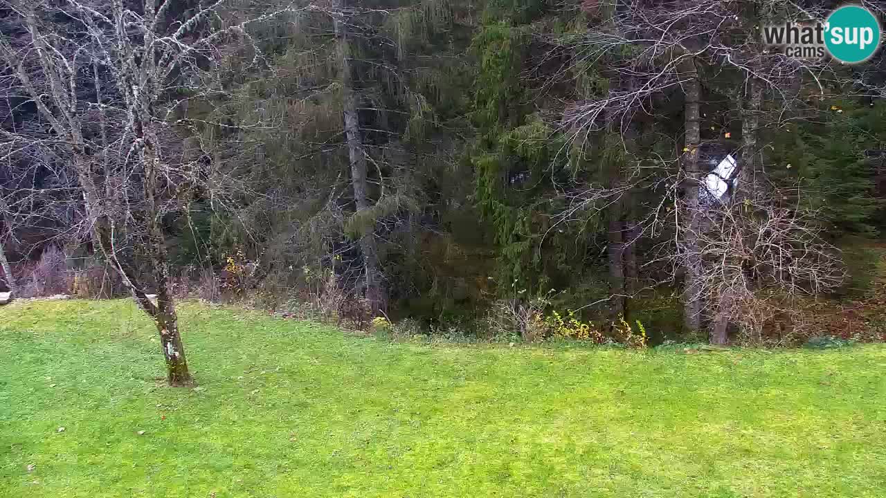 Webcam Lukanja – Pohorje houses a Water village