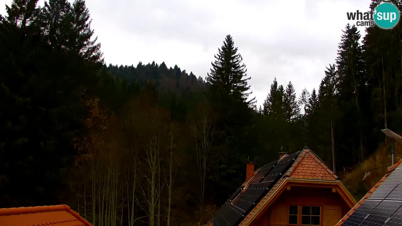 Webcam Lukanja – Pohorje houses a Water village