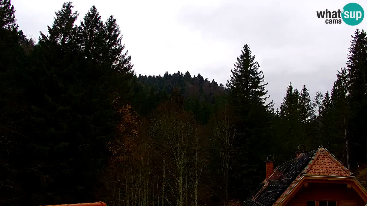 Spletna kamera Lukanja – Water Village | Pohorje Houses