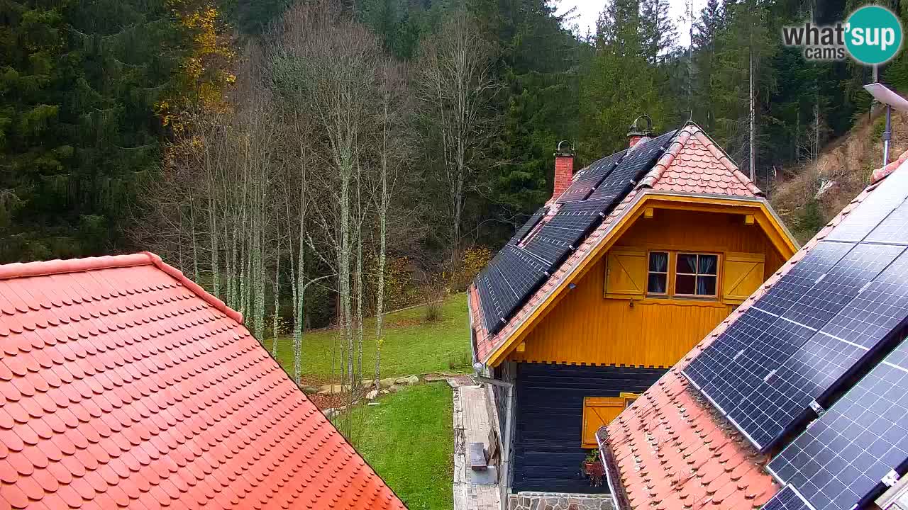 Webcam Lukanja – Water Village | Pohorje Houses