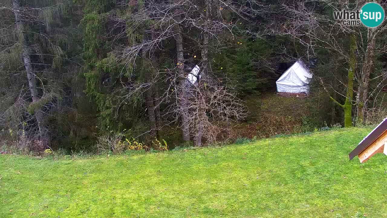 Web kamera Lukanja – Water Village | Pohorje Houses