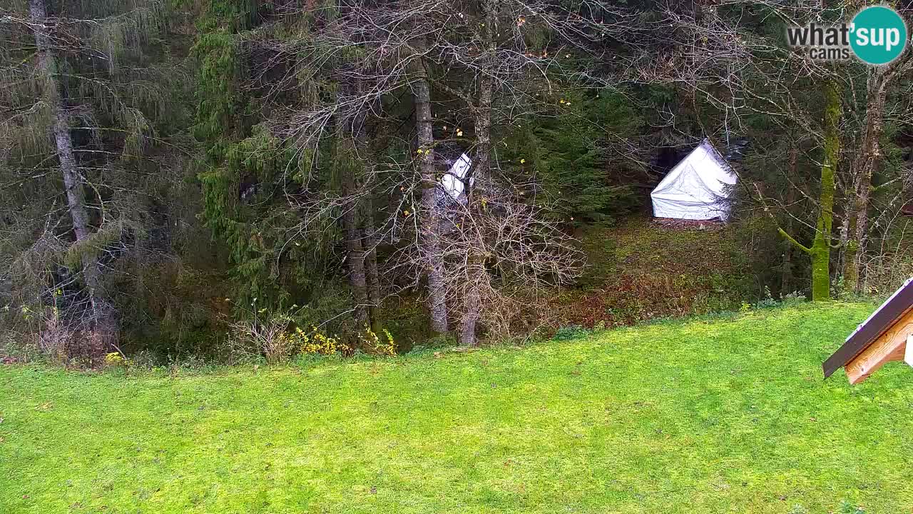 Webcam Lukanja – Water Village | Pohorje Houses