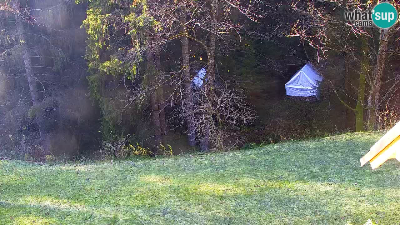 Webcam Lukanja – Water Village | Pohorje Houses