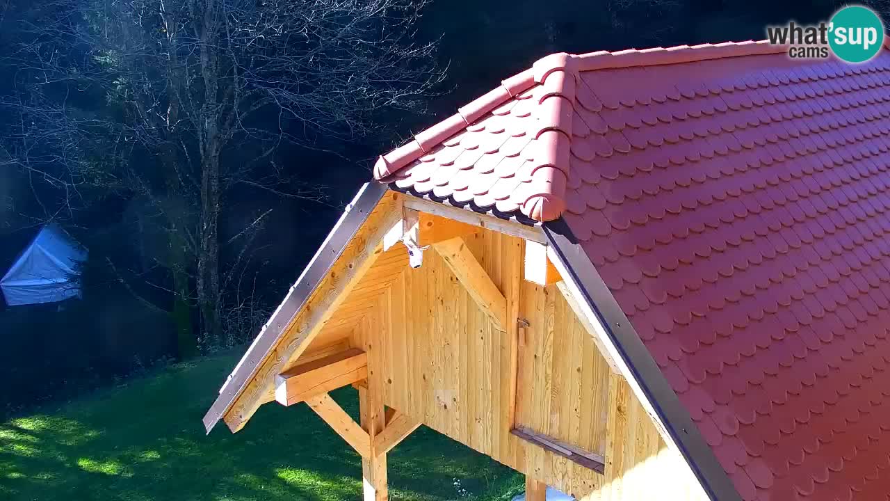 Spletna kamera Lukanja – Water Village | Pohorje Houses