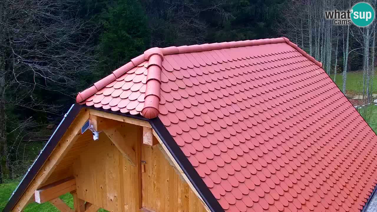 Webcam Lukanja – Water Village | Pohorje Houses