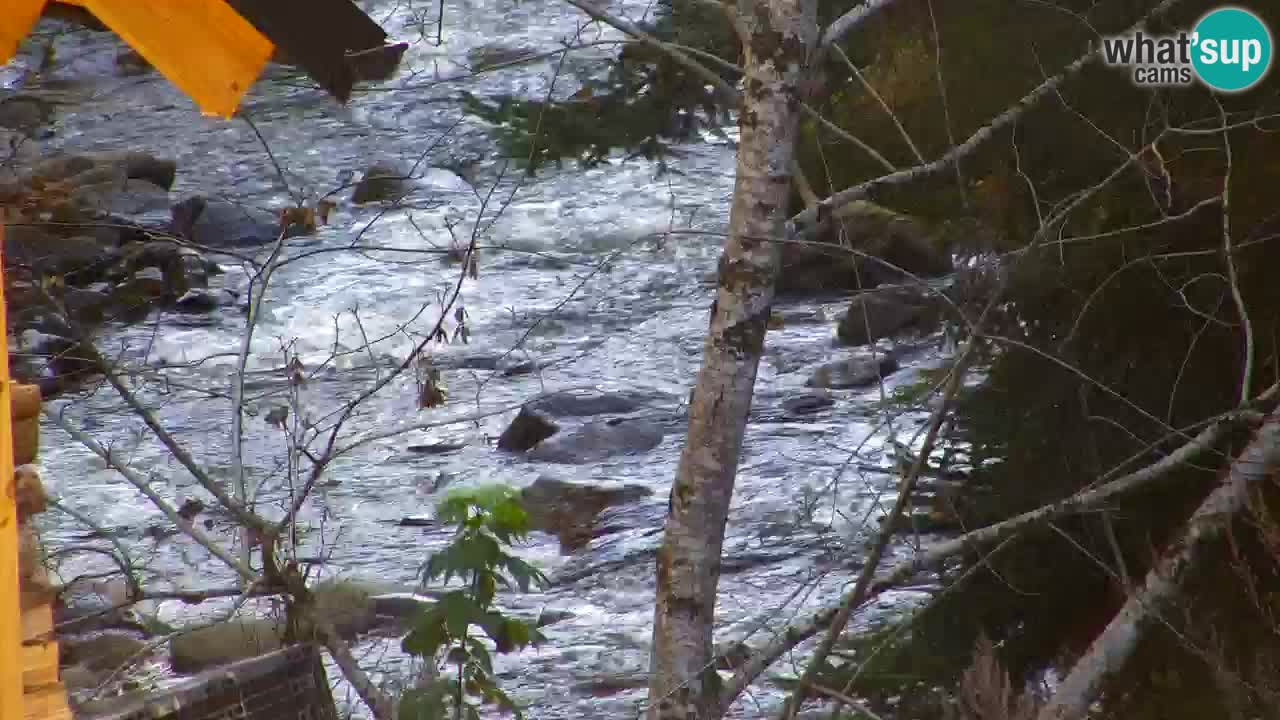 Webcam Lukanja – Water Village | Pohorje Houses