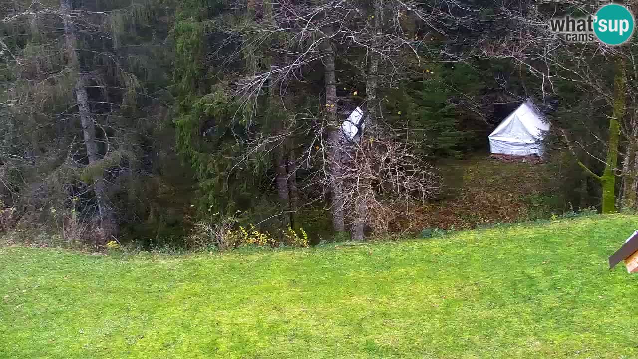 Spletna kamera Lukanja – Water Village | Pohorje Houses