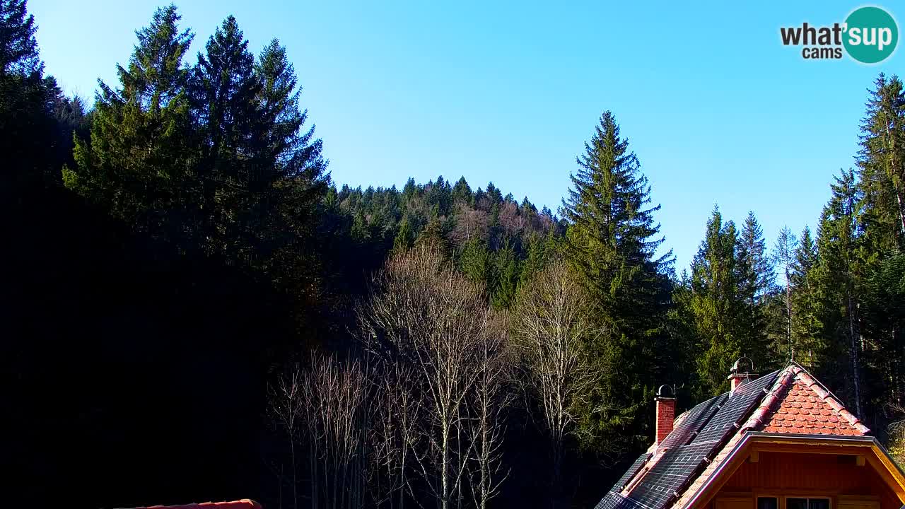 Webcam Lukanja – Water Village | Pohorje Houses